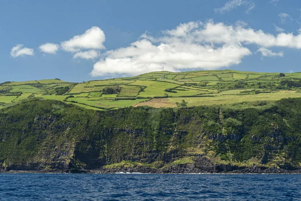 Faial Wyspa Azores Widok Klif Morza Krajobraz — Zdjęcie stockowe