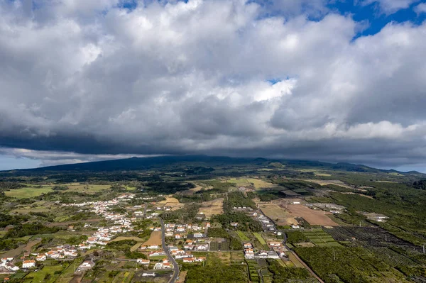 Madalena Pico Island Azores Vineyard Wine Grapes Protected Lava Stone — Stock Photo, Image