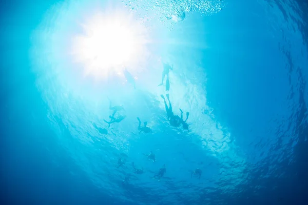 Silhueta Grupo Snorkelist Subaquática — Fotografia de Stock