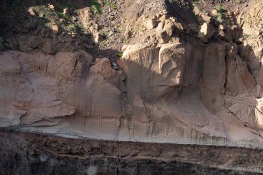 Baja California sur Cortez Deniz Kayaları detayı