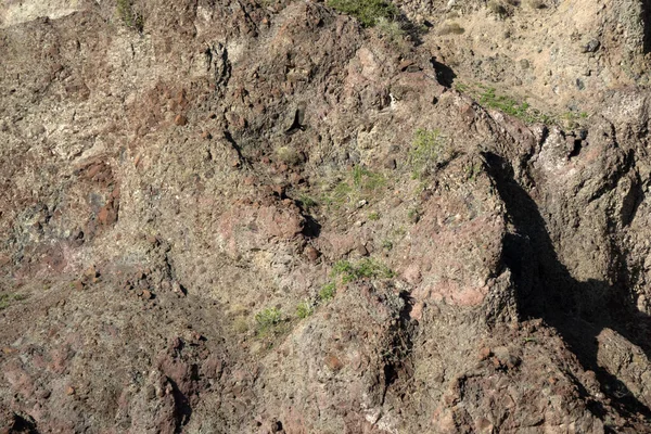 Baja Nia Sur Cortez Havet Stenar Detalj — Stockfoto