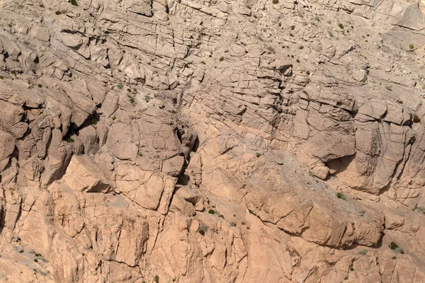 Baja California Sur Cortez Tengeri Sziklák Részlet — Stock Fotó