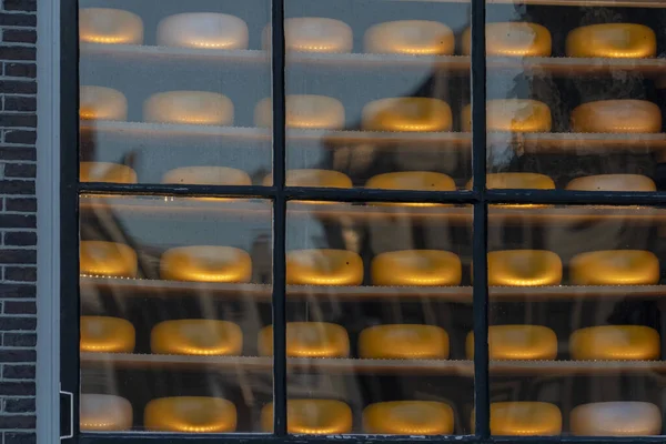 Amsterdam Traditional Cheese Shop Window — Stock Photo, Image