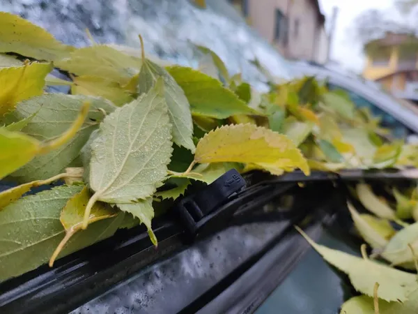 Modré Auto Pokryté Listovým Kobercem Podzimní Sezóně — Stock fotografie