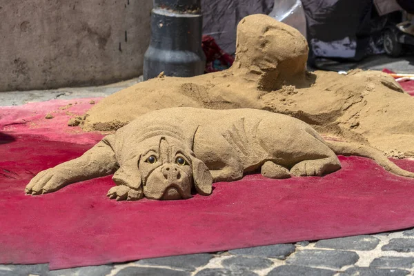 砂のストリートアートで作られた犬 — ストック写真