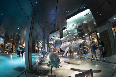 PARIS, FRANCE - 18 Kasım 2021 - Evrim Müzesi Büyük Galerie de Evrim 'de 7000 örnek. 1994 'te, modernliğin tarihle ve bilimle buluştuğu büyük biyolojik çeşitlilik macerasını anlatmak için açıldı.