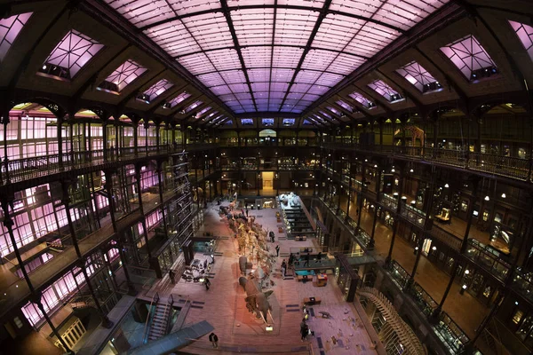 París Francia Noviembre 2021 Museo Galería Evolución 000 Ejemplares Grande — Foto de Stock