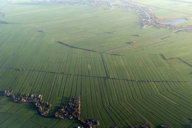 Amsterdam Hollanda 'nın ünlü tarlaları manzara manzarası