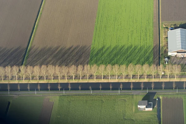 アムステルダムオランダファードフィールドパノラマの風景を表示 — ストック写真