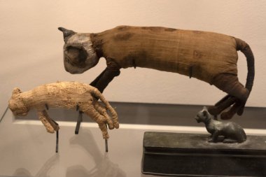 Mısır kedi mumya mısır bir mezar piramidi