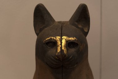 Mısır kedi mumya mısır bir mezar piramidi