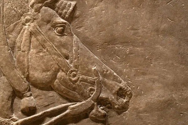 Ancient Babylonia Assyria Sculpture Mesopotamia — Stock Photo, Image