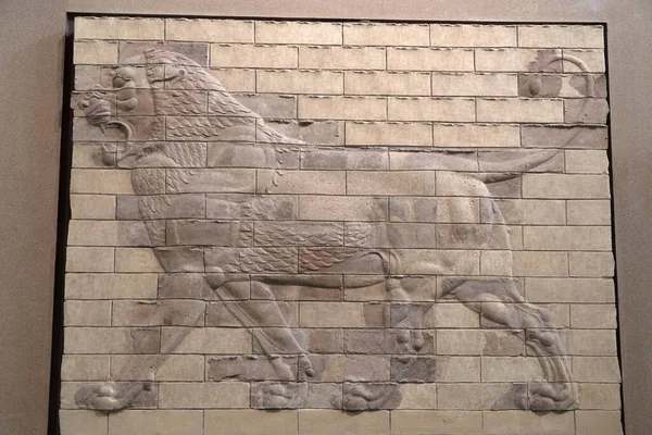 Darius Król Persji Pałac Bas Relief Szczegółowo Lew — Zdjęcie stockowe