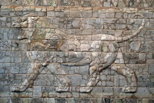 Darius Král Persie Palác Basreliéf Detail Lev — Stock fotografie