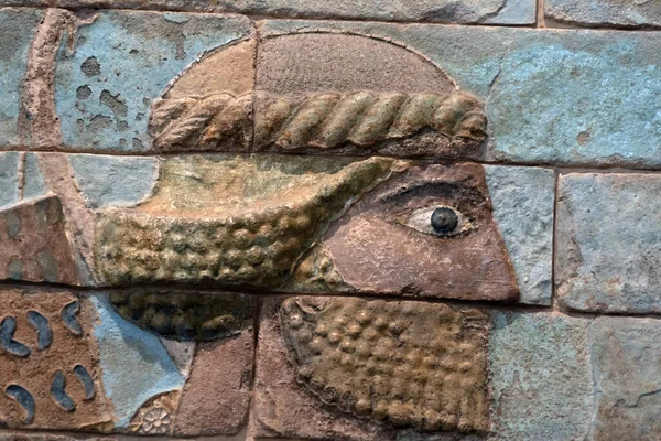 Darius König Von Persien Palast Bogenschütze Basrelief Detail — Stockfoto
