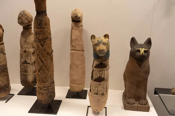 피라미드에서 이집트 고양이 이집트 — 스톡 사진