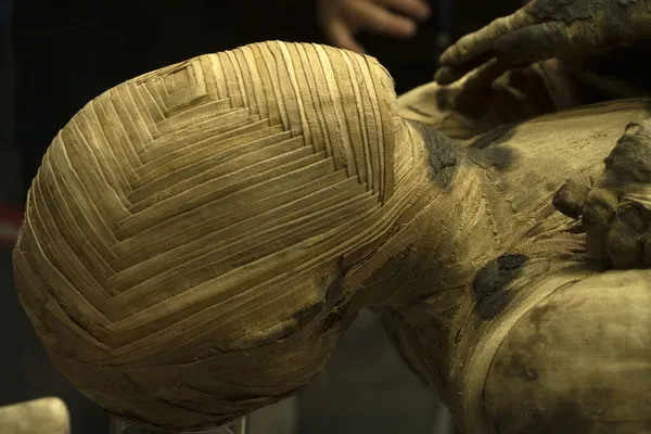 Egyptian Mummy Close Detail — Stock Photo, Image