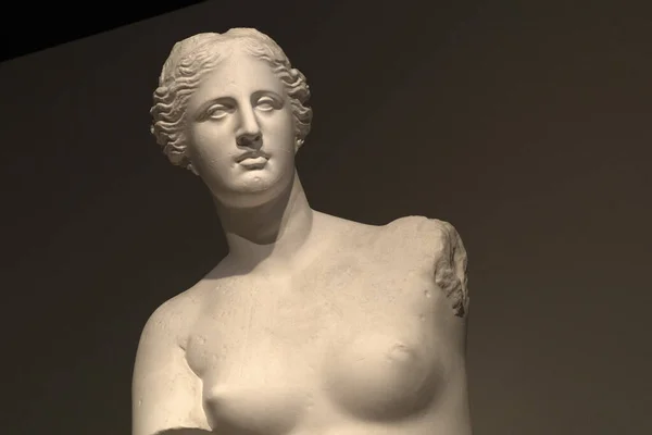 Venus Med Milo Statuer Nærheten – stockfoto