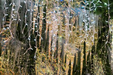 Paris Noel ağacı süsleme ayrıntıları 