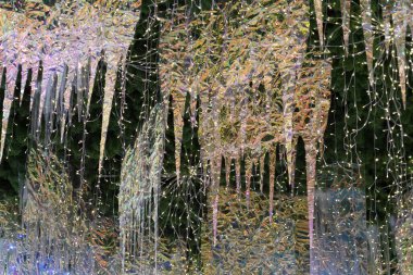 Paris Noel ağacı süsleme ayrıntıları 