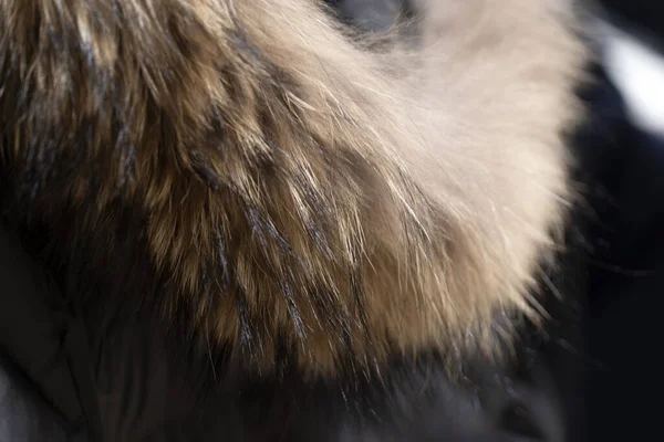 Female Fur Neck Cloth Detail — Stock Photo, Image