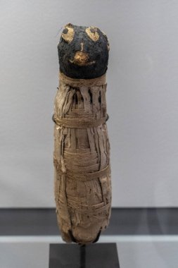 Mısır kedi mumya mısır bir mezar piramidi