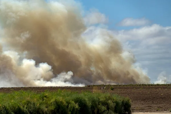 Grande Incêndio Baja Califórnia Sur Mexico Field — Fotografia de Stock