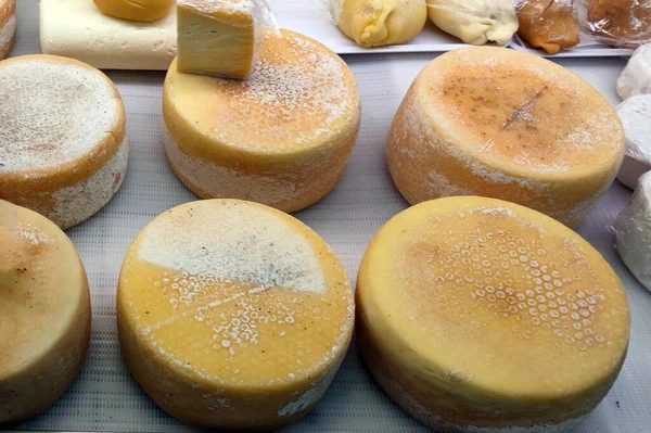 Natural Hand Made Organic Italian Cheese Market — Stock Photo, Image