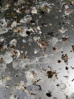 Araba kuş dışkısıyla kaplı.