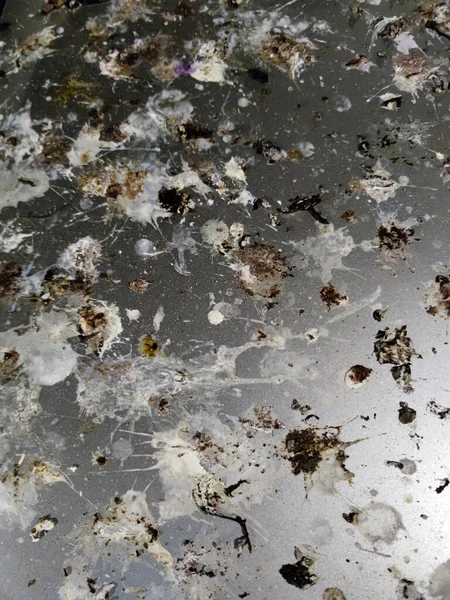 Araba kuş dışkısıyla kaplı.