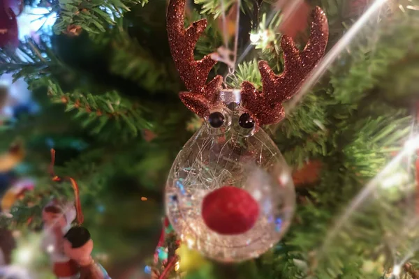Rudolph Rosso Naso Renna Palla Vetro Natale Dettaglio Albero Natale — Foto Stock