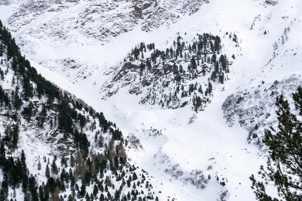 Santa Caterina Valfurva Alpy Włoskie Góry Zimie Śnieg Wędrówki Las — Zdjęcie stockowe