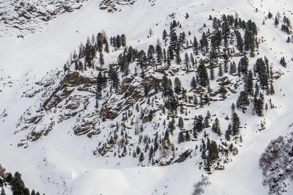 Santa Caterina Valfurva Italian Alps Mountains Winter Snow Hiking Forest — Stock Photo, Image