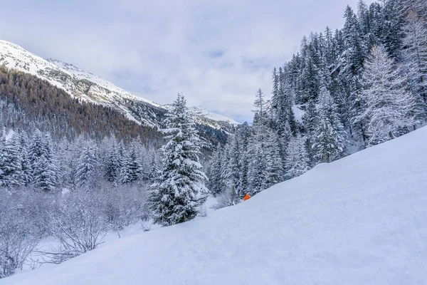 Santa Caterina Valfurva Italian Alps Mountains Winter Snow Hiking Forest — Stock Photo, Image