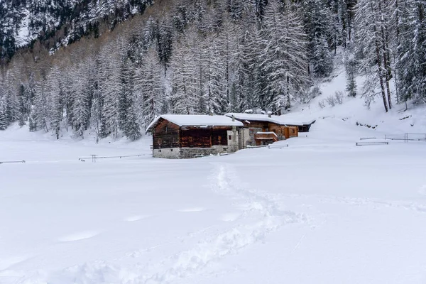 Santa Caterina Valfurva Italiano Alpes Montañas Invierno Nieve Senderismo Bosque — Foto de Stock