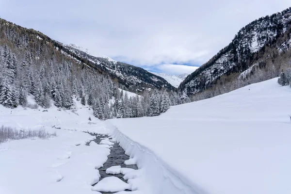 Santa Caterina Valfurva Alpy Włoskie Góry Zimie Śnieg Wędrówki Las — Zdjęcie stockowe