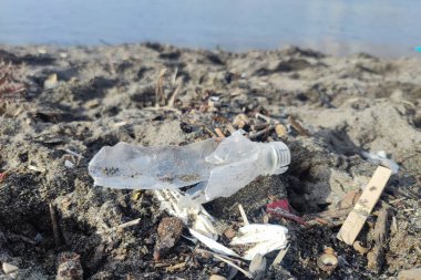 Plastik atık çöpleri kumlu sahilde