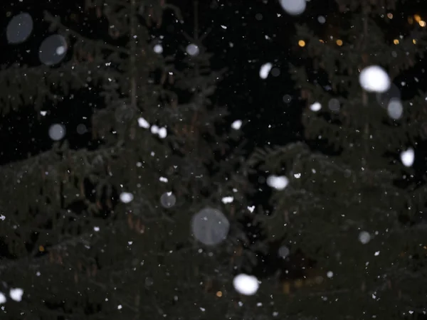Snow Falling Snowing Night Dolomites Mountains — Stockfoto