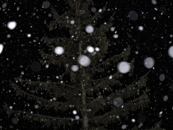 Snow Falling Snowing Night Dolomites Mountains — стоковое фото