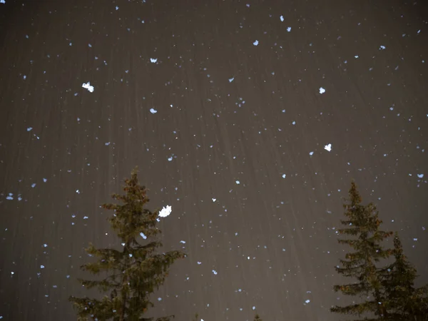 Snow Falling Snowing Night Dolomites Mountains — стоковое фото