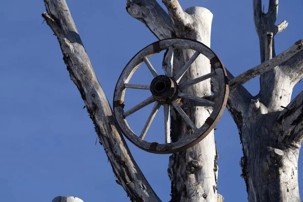 死んだ木の上のワゴンホイール詳細 — ストック写真