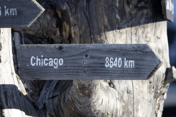 Chicago Distance Wood Sign Dead Tree Detail — Fotografia de Stock