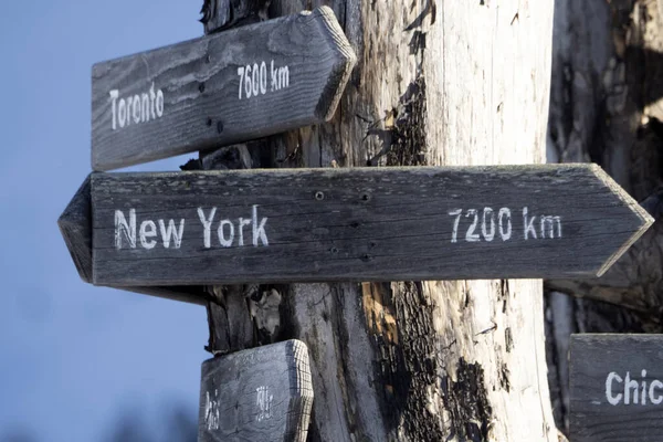 New York Distance Wood Sign Dead Tree Detail — Zdjęcie stockowe