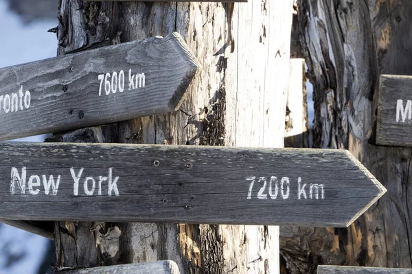New York Distance Wood Sign Dead Tree Detail — Stock Photo, Image