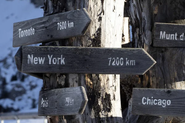 New York Distance Wood Sign Dead Tree Detail — Zdjęcie stockowe