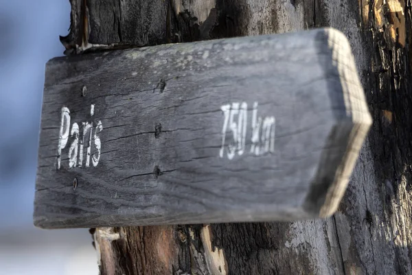 Panneau Paris Distance Bois Sur Arbre Mort Détail — Photo