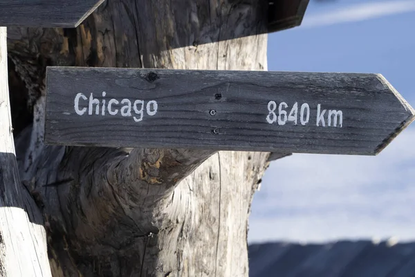 Chicago Distance Wood Sign Dead Tree Detail — Zdjęcie stockowe