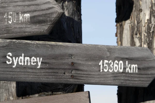 Sidney Distance Wood Sign Dead Tree Detail — Stock Photo, Image