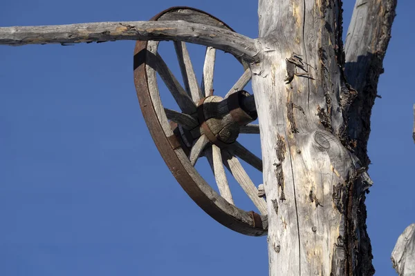 Wagon Wheel Dead Tree Detail — Zdjęcie stockowe