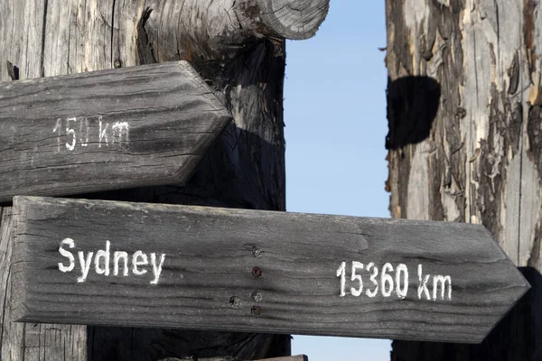 Sidney Distance Wood Sign Dead Tree Detail — Photo